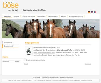 zur Website